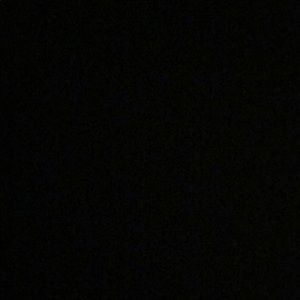 Meet your Posher, Selina